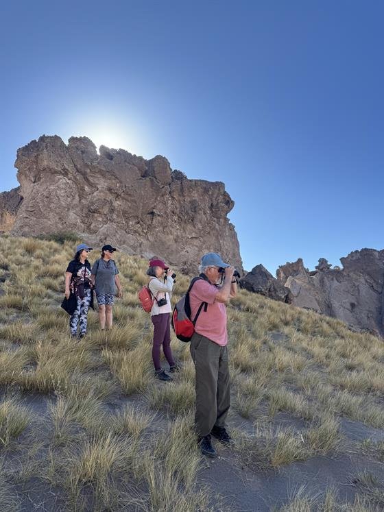 Grupo observando el paisaje de Los Bolillos
